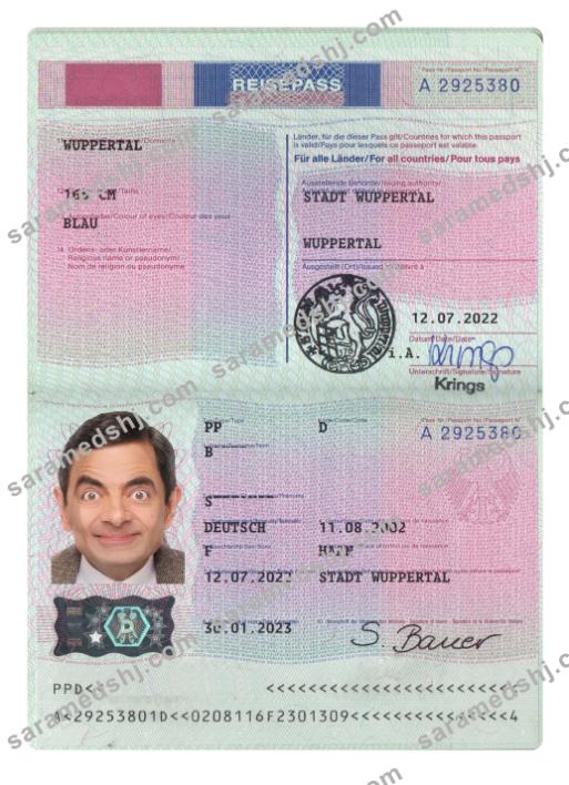 Germany passport 2022-present